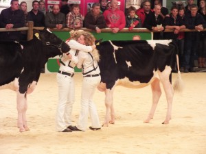 Hullcrest Holstein sHow 2015